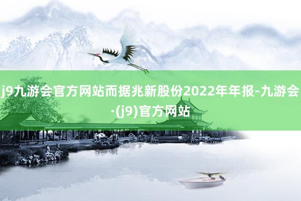 j9九游会官方网站而据兆新股份2022年年报-九游会·(j9)官方网站