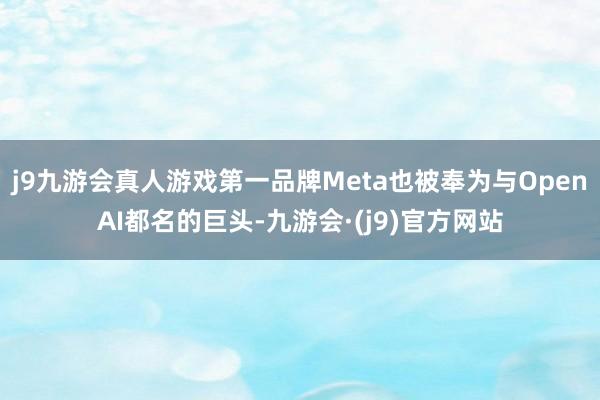 j9九游会真人游戏第一品牌Meta也被奉为与OpenAI都名的巨头-九游会·(j9)官方网站