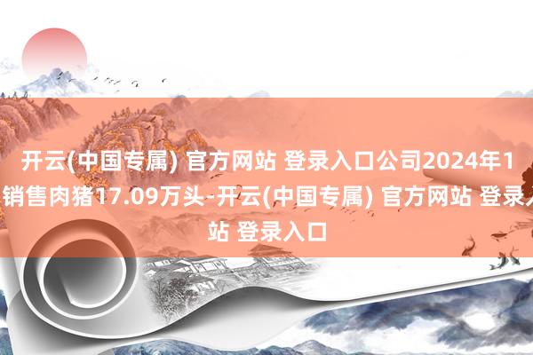 开云(中国专属) 官方网站 登录入口公司2024年11月销售