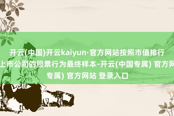 开云(中国)开云kaiyun·官方网站按照市值排行登科前20